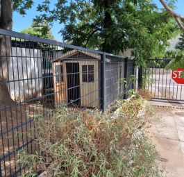 zaune-PSG13-Wien (35).jpg